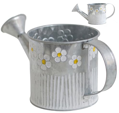 Bemonew Fioriera in metallo per esterni Secchio di fiori zincato, Grande fioriera in metallo per piante da esterno, Contenitore di latta rustico per decorazione di fattoria, Annaffiatoio