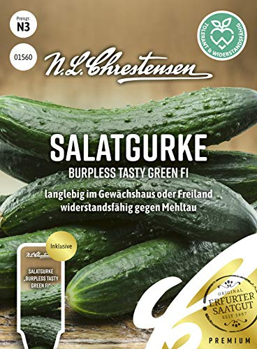 Salatgurke Burpless Tasty Green F1 Samen, Saatgut