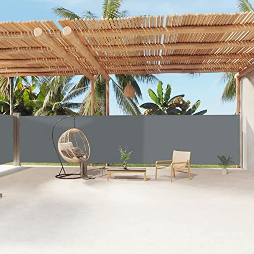 CIADAZ Seitenmarkise Ausziehbar, Windschutz Terrasse, Balkon Windschutz, Balkon Sichtschutz, Sichtschutz Zaun, Sichtschutzzaun, Markise Balkon, Sichtschutzwand, Anthrazit 180x1200 cm