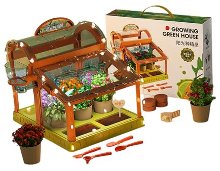 Set da giardinaggio per bambini con illuminazione a LED integrata in acrilico trasparente piccola serra per piantare la casa Set di giardinaggio per bambini con illuminazione a LED integrata in