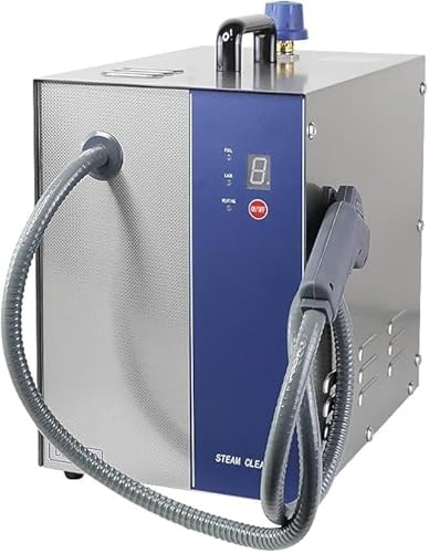 CUTANGELAR 1300W/2600W Ångtvätt För Rostfritt Stål, 135℃/275℉ Professionell Ångtvätt För Ädelstenar Guld Silver, För Mynt, Kretskort, Dagliga Förnödenheter, Laboratorieverktyg