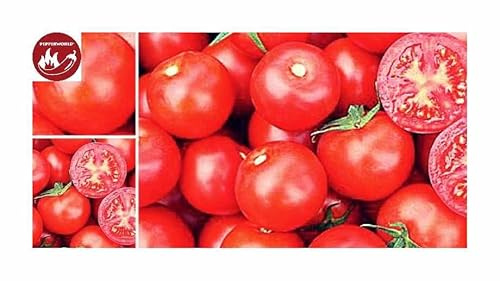 Stk - 5x Jani Tomaten Küche Garten Pflanzen - Samen PW95 - Seeds & Plants Shop by Ipsa