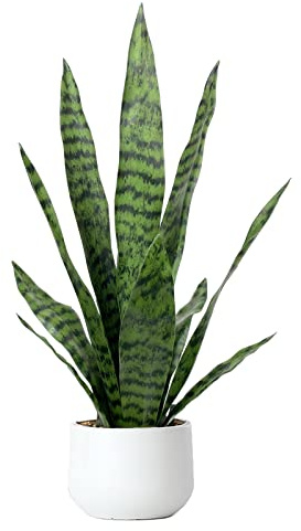 Artificial Snake Plant 22.5 Faux Agave Fake Sansevieria Artificial Potted Plants for Indoor and Outdoor Home Office Décor (White Pot)