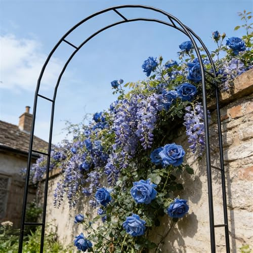 Arche de Jardin en Fer Noir pour Plantes Grimpantes Solide Treillis Résistant aux Intempéries pour Jardin Patio Décoration Mariage Fête,180×220×40cm