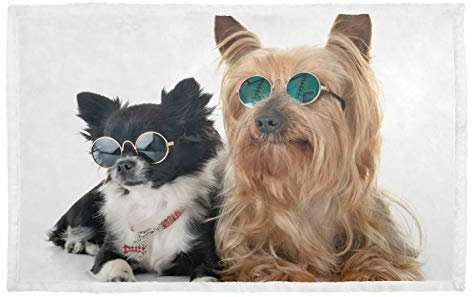 Hengpai Coole Hundebrille für Chihuahua, Yorkshire, warme Hundedecke