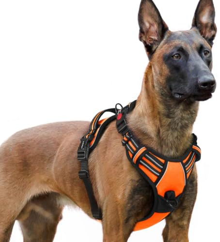 rabbitgoo Hundegeschirr Grosse Hunde Leichtes Anlegen, XL, Orange | Anti Zug, Ohne Kopfdurchzug, Halsverschluss mit Sicherung, 2 D-Ringe, Weich Gepolstert, Reflektierend für Gassi & Training