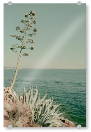 artboxONE Acrylglasbild 45x30 cm Natur Agavenblume Bild hinter Acrylglas - Bild Meer Kaktus Meer