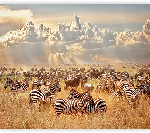 murando - Vlies Fototapete Afrika 350x256cm Foto Tapete Schlafzimmer Wohnzimmer Vliestapete XXL Motivtapeten Bildtapete 3d Effekt Wand Dekoration - Tiere Savanne Landschaft Natur g-B-0145-a-a