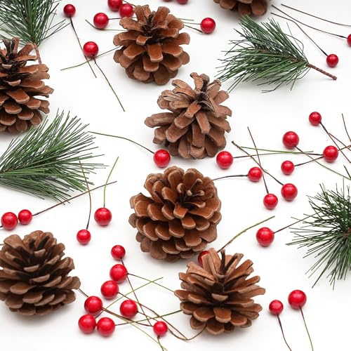 TRIXES Kit Couronne de Noël – Feuilles et Pommes de pin artificielles, Baies Rouges – DIY Décoration de Noël – Ornement créatif