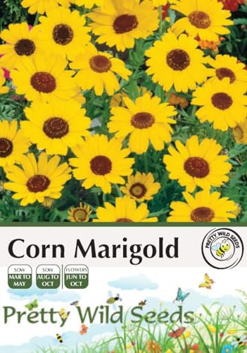 Corn Marigold Seeds in Pictorial Packet - 5g