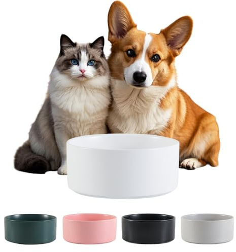 Céramique Gamelle Chien Antidérapante - Bol Chien Croquette et Eau pour Petit et Moyen - Gamelle pour Chat Grand pour Eau - Bol Céramique Antiéclaboussure - 15 cm - 320 g / 720 ML - Blanc