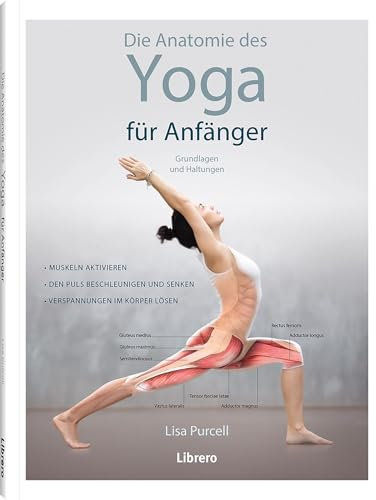 Die Anatomie des Yoga für Anfänger: Grundlagen und Haltung. Muskeln aktivieren. Den Puls Beschleunigen und senken, Verspannungen im Körper lösenr