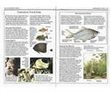 Eyewitness Handbook: 09 Aquarium Fish