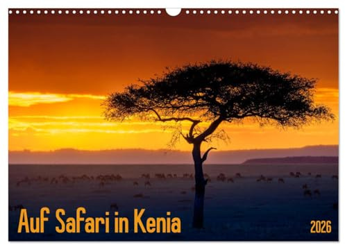 Auf Safari in Kenia 2026 (Wandkalender 2026 DIN A3 quer), CALVENDO Monatskalender: Landschaften und Tiere aus Kenias Süden (CALVENDO Natur)