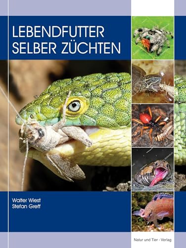 Lebendfutter selber züchten: Ratgeber zur Zucht von Futtertieren für die Terraristik und Aquaristik