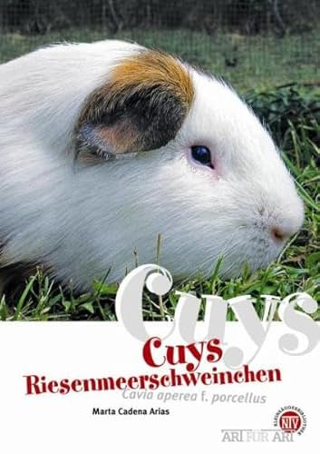 Cuys - Riesenmeerschweinchen: Cavia aperea f. porcellus (Buchreihe Art für Art Kleinsäuger)
