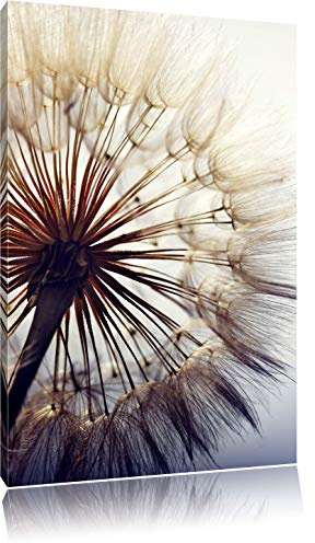 Pixxprint Schöne Pusteblume, Größe: 60x40cm, Leinwandbild, fertig gespannt, Wandbild, Dekoration, Kunstdruck, kein Poster