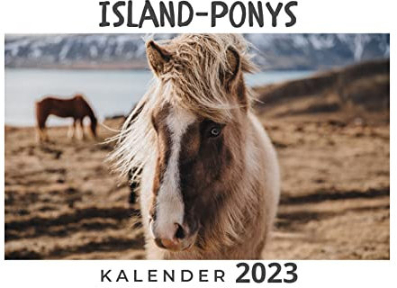 Island-Ponys: Kalender 2023