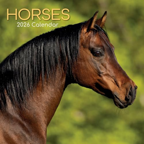 The Gifted Stationery 2026 Square Wall Calendar, Horses, 16-Month Animals Theme Hanging Calendar with 180 Reminder Stickers, Month Planner for Home, or Creative Spaces, 12x12 In