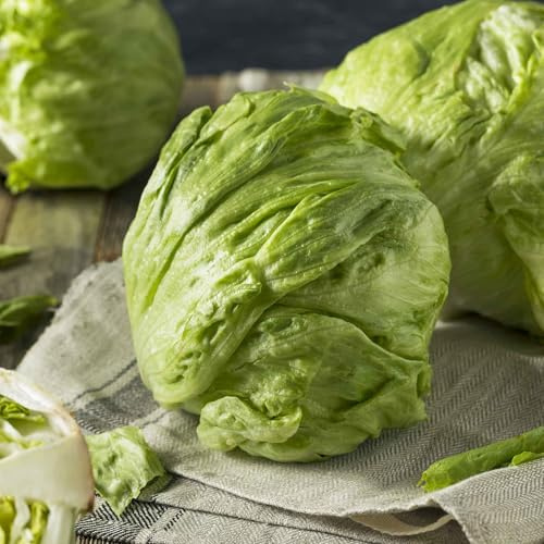 Eden Brothers Lettuce Seeds - Iceberg Non-GMO Seeds for Planting, Packet | Low-Maintenance Vegetable Seeds, Plant During Warm Season, Zones 2, 3, 4, 5, 6, 7, 8, 9, 10
