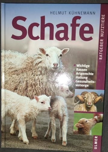 Schafe (Ratgeber Nutztiere)