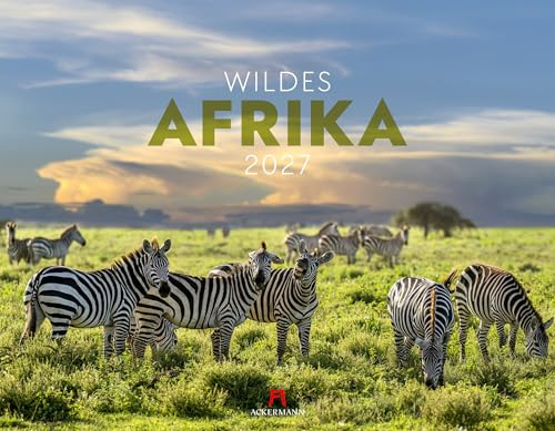 Wildes Afrika Kalender 2027 | Bildgewaltiger Tier-Kalender im großen Querformat (54x42 cm) | Big Five, Safari, Elefant, Nashorn, Büffel, Löwe, Leopard