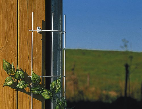 Siena Garden 678223 - Producto para Cultivo, Color Verde