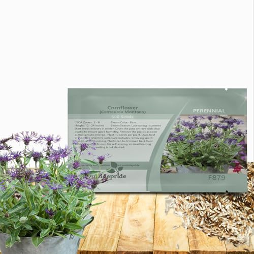 Outsidepride Montana Blue Cornflower Seeds for Planting - 1000 Pcs. Perennial Bachelor's Button Flower Seeds for Cut Flower, Drought-Tolerant, Attracts Pollinators, Ideal for Borders & Bouquets