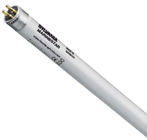 SYLVANIA T5 Aquarienlampe 54 Watt Korallen 15000 Kelvin Tageslichtweiß für Aquarien mit Korallen und Evertebraten, 1 Stück