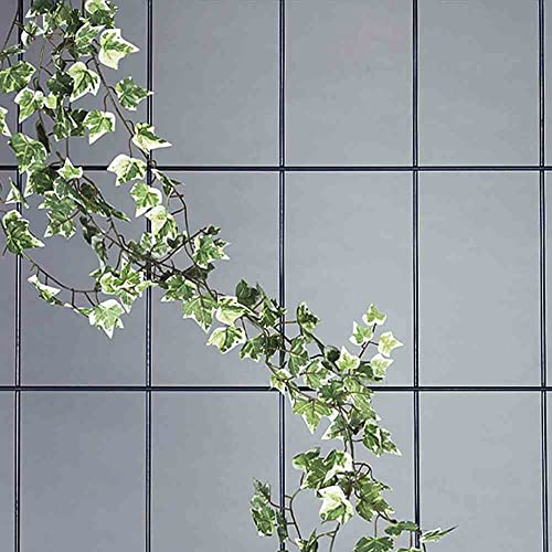 Siena Garden 763758 - Producto para Cultivo