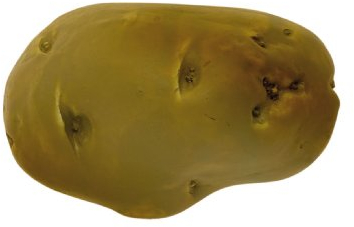 Potato Brush Ideal for Scrubbing Potatos and Vegetable