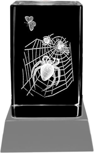 Kaltner Präsente Stimmungslicht – Ein ganz besonderes Geschenk: LED Kerze/Kristall Glasblock / 3D-Laser-Gravur Tier Motiv Spinnen Spinnenetz