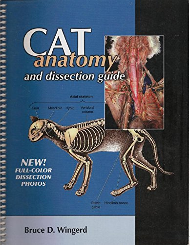 Guía de anatomía y disección del gato