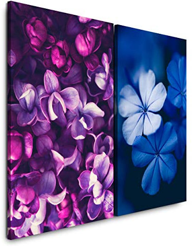 Paul Sinus Art Leinwandbilder 2 Stück je 40x60cm Makro Blüten Hortensie Flieder