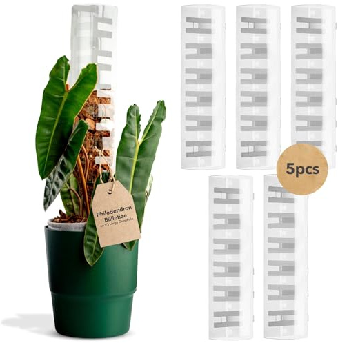 THICCLY V3 GrowPole - Front Opening, Stackable Plastic Moss Poles for Climbing Plants, Monstera Plant Support-Plant Climbing Pole, DIY Plant Support for Philodendron & Anthuriums (Large 5 Pcs)