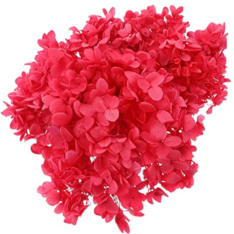 Holibanna 1 Boîte Hortensia Fleur Materiel de Bricolage Decoration Noel hortensias Fleur sechees Decoration matériau de Fleur Immortelle Fleurs d'hortensia Bricolage Fleur préservée Rouge