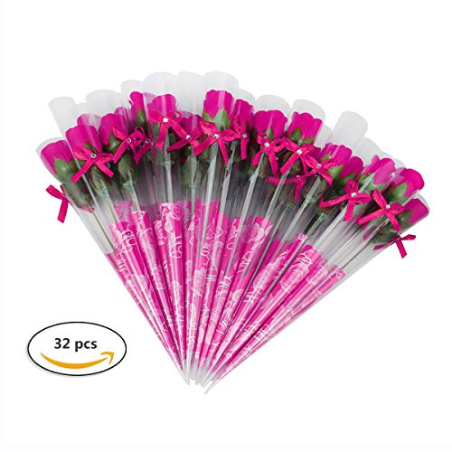 Weiye 38 pcs Savon Rose Carnation Fleur – Flora Savon Rose Fleur Plante–Savon à l'huile Essentielle