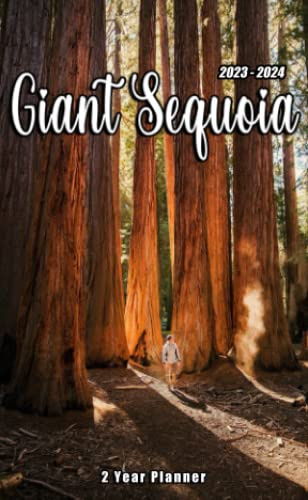 2023-2024 Giant Sequoia Pocket Planner: 2023 Monthly Planner With 2 Year Datebook Of Giant Sequoia Vitally Need For 24 Months Office Planner Small Size 4 x 6.5