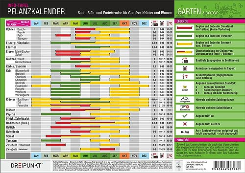 Pflanzkalender: Saat-, Blüh- und Erntetermine für Gemüse, Kräuter und Blumen