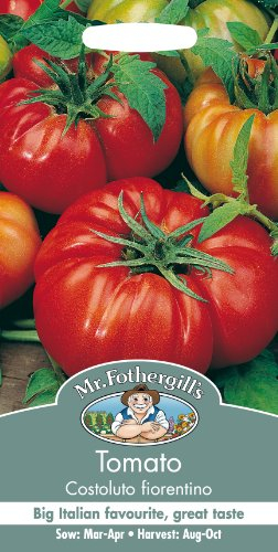 Mr Fothergill's Tomato Costoluto fiorentino