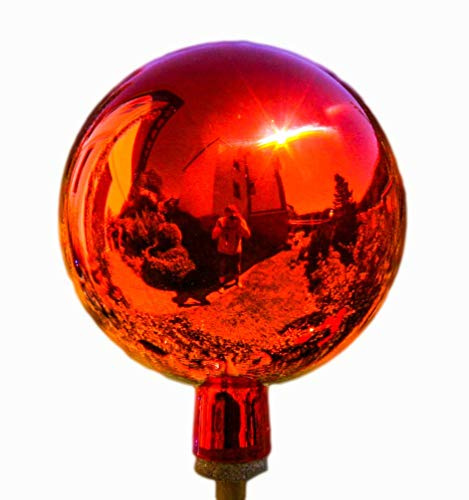 Unbekannt Thüringer Rosenkula – 12 cm – orange