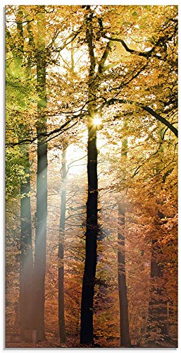 ARTland Wanddeko Glasbilder Wandbild Glas Bild einteilig 30x60 cm Hochformat Natur Landschaft Wald Herbst Sonne Bäume Landhaus T5VL