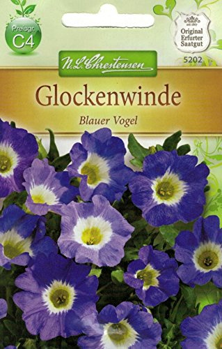 Chrestensen Glockenwinde 'Blauer Vogel'