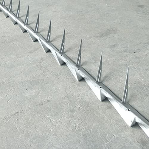 Chiodi a spina in acciaio inossidabile, balcone antifurto zincato, chiodi a spina anti-arrampicata, lamiera di ferro spinato-Piccole punte zincate 1,25 m