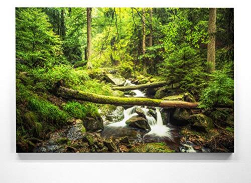 BilderKing Wald Leinwand vom Harz, Motiv – Ilsetal - als 90x60cm großes Leinwandbild. Ein wunderschönes Wandbild als Hintergrund und Deko für Wohnzimmer & Schlafzimmer. Aufgespannt auf Holzrahmen