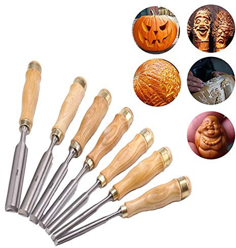 SdaryWare Cinceles, Herramientas para tallar Madera, Kit de Cuchillos para Goma, pequeñas Calabazas, jabón, Verduras y más para niños y Principiantes con Bolsa Reutilizable