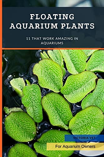 Floating Aquarium Plants: 11 That Work Amazing in Aquariums