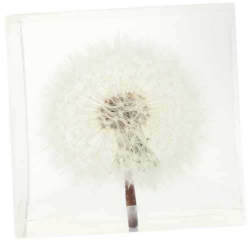 Cabilock Löwenzahn Pusteblumenwürfel Desktop Dekoration Kristallglas Ornament Homeoffice Geschenk Schreibtisch Schmuck