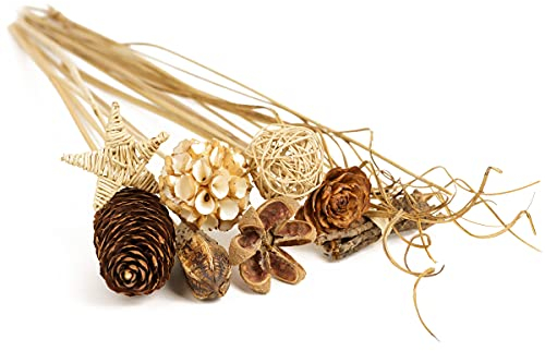 Carpe Diem Getrocknete Pflanzen Boho | Naturprodukt 10 Stück Gesamtlänge ca. 58 cm