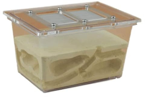 esmen Ameisenfarm, Ameisenwerkstatt, Insektenvilla, Ameisenfütterungsbox, Stereo-Ameisenburg, Tetraeder, Ameisenhaus, transparentes Ameisenhaus, Gips-Ameisennest